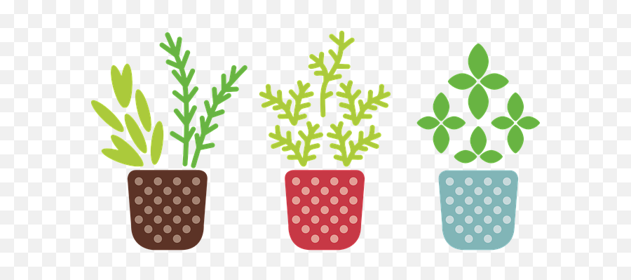 Herb - Transparent Background Potted Plants Clipart Png,Herb Png