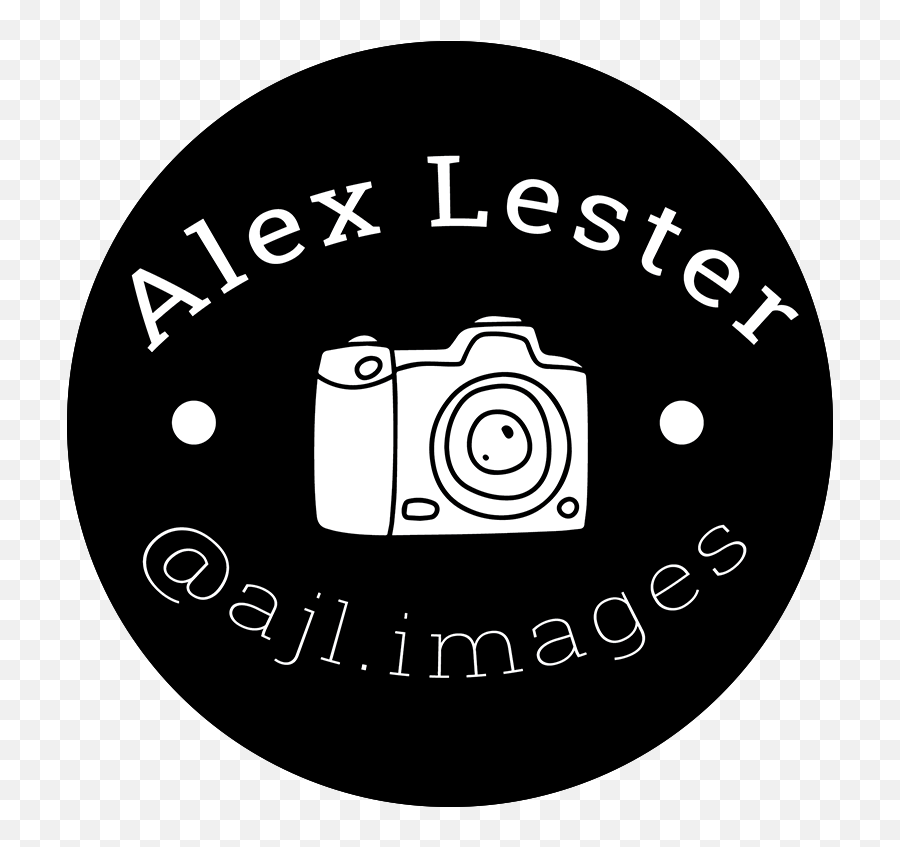 Alex Lester Photography - Alyson Stoner At Vidcon 2018 Woof Brew Png,Vidcon Logo