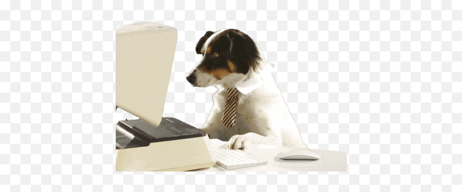 Top What Is Up Dog Stickers For Android - Dog On Computer Transparent Png,Transparent Dog Gif