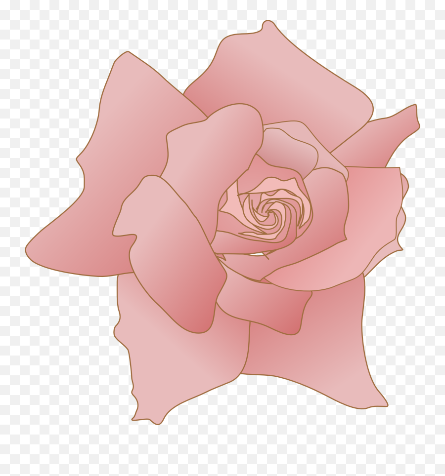Pink Rose Flower Drawing - Girly Png,Transparent Flower Drawing