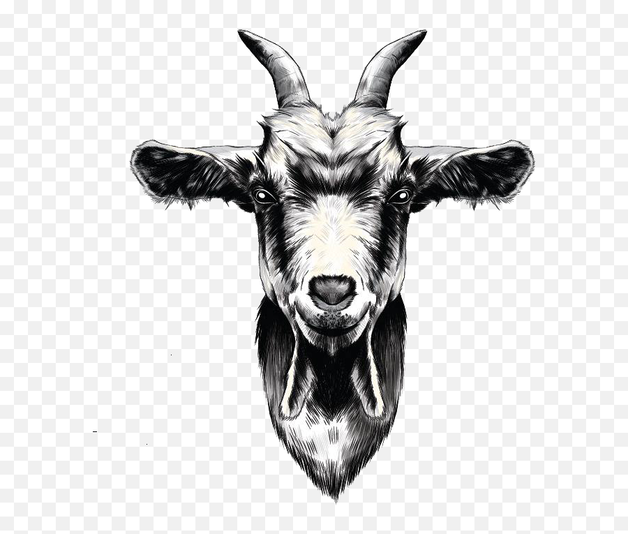 Thank You Landscaping Design Wellington Scape Goats - Goat Head Png,Feral Icon