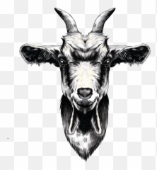 Thank You Landscaping Design Wellington Scape Goats - Goat Head Png,Feral Icon