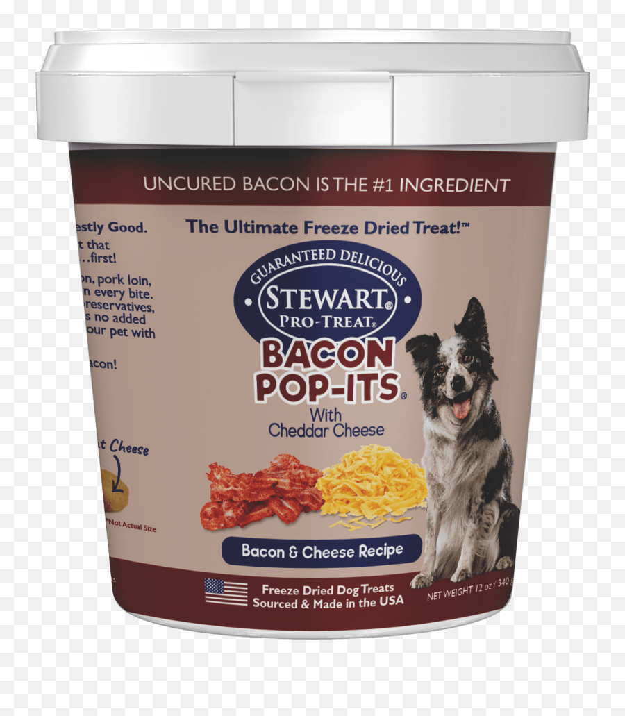 Bacon U0026 Cheese Stewart - Dog Food Png,Bacon Icon