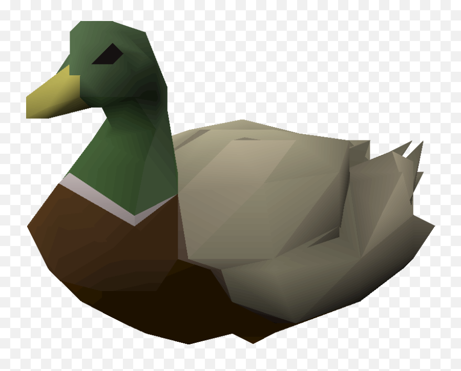 Duck - Osrs Wiki Duck Png,Duck Png
