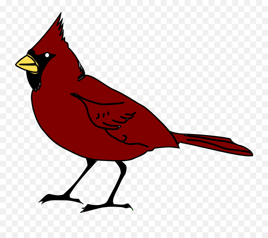 Download Clipart Cardinal Hd Image - Cartoon Red Robin Bird Png,Cardinal Png
