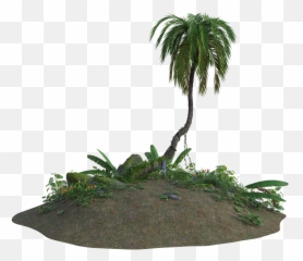 Tropical Sand 3d - Plants Transparent png