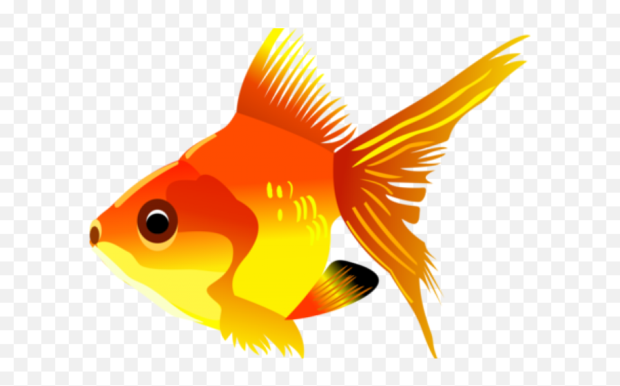 Tropical Fish Clipart Transparent Png Background