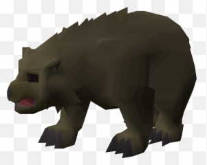 Grizzly Bear Cub - Osrs Wiki Rhinoceros Png,Grizzly Bear Png