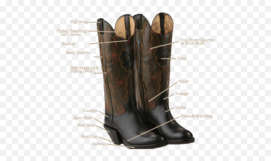 Anatomypng 600480 With Images Boots Cowboy Png