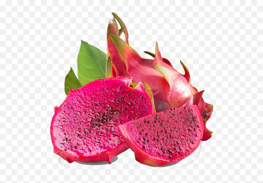 Dragon Fruit Is Usually Oval Elliptical - Dragon Fruit In Cambodia Png,Dragonfruit Png