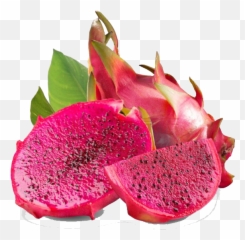 Dragon Fruit Is Usually Oval Elliptical - Dragon Fruit In Cambodia Png,Dragonfruit Png
