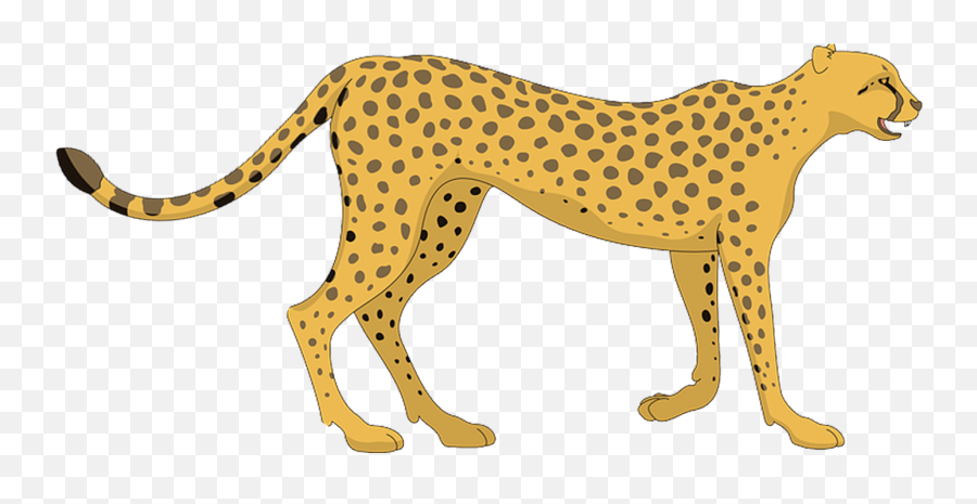 Download Free Png 15 Cartoon Cheetah For - Cheetah Clipart Png,15 Png