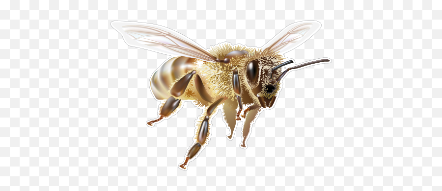 bees flying clipart
