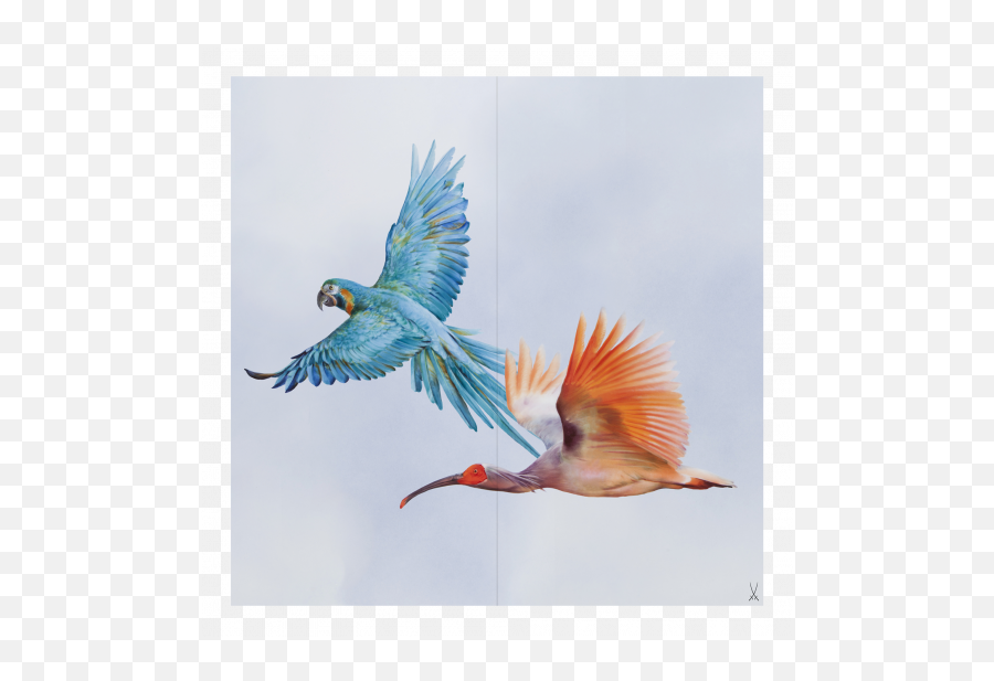 Meissen Flock Of Birds Wall Painting Macaw And Ibis - Macaw Wall Painting Png,Bird Flock Png