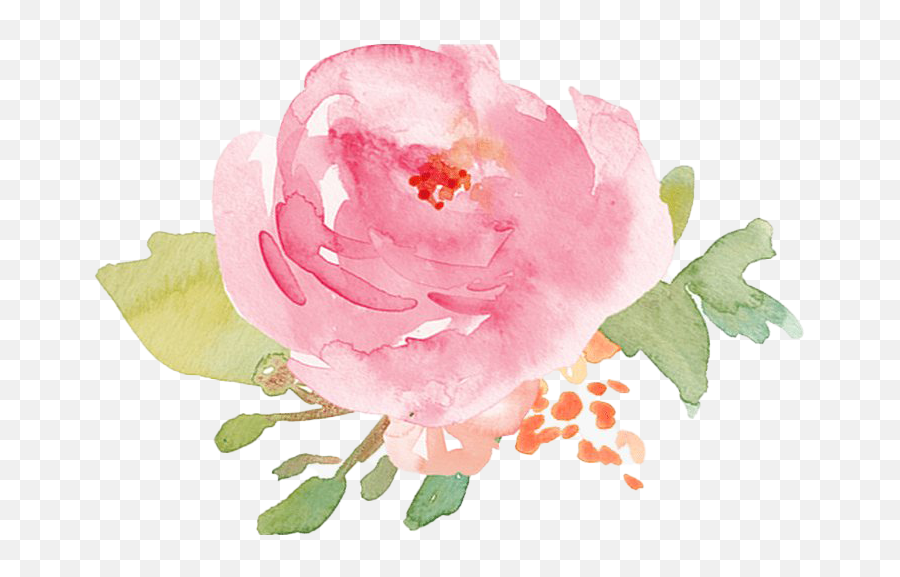 Watercolor Flower Png Pic All - Rose Clipart,Watercolor Roses Png