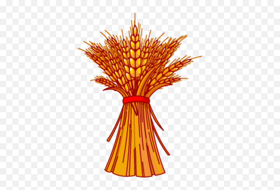 Bundle Png And Vectors For Free Download - Dlpngcom Clip Art Grain Of Wheat,Corn Stalk Png