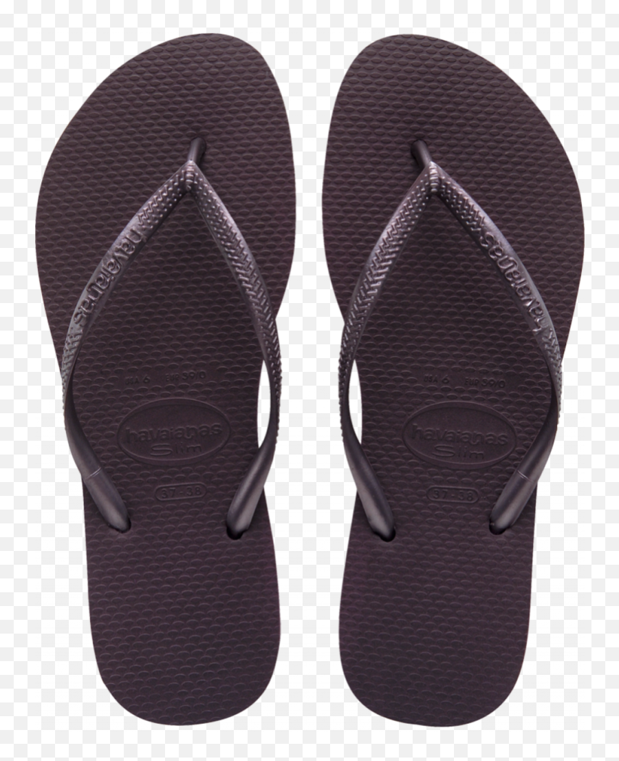 Flip Flops Png Download Image Flop