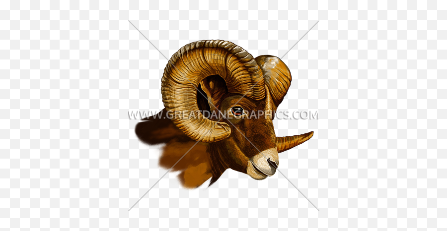 Goat Head Side View Png Image - Drawing Ram Head Side View,Goat Head Png