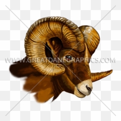 Goat Head Side View Png Image - Drawing Ram Head Side View,Goat Head Png