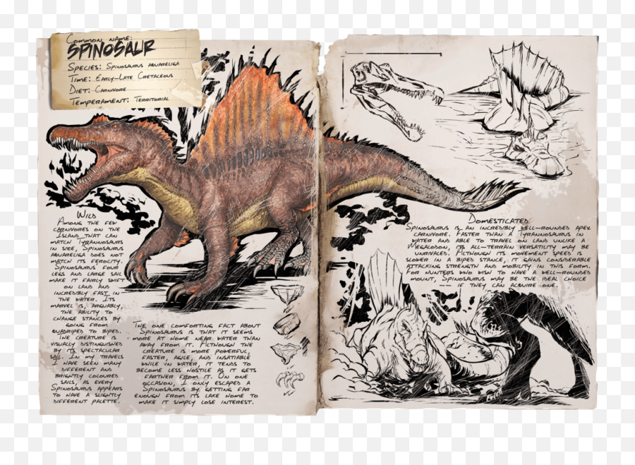 Survival Evolved Wiki - Dino Dossiers Spinosaure Ark Png,Spinosaurus Png