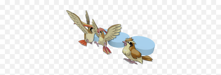 Pidgey Pidgeotto And Pidgeot Paper - Pokemon Pidgey Png,Pidgey Png