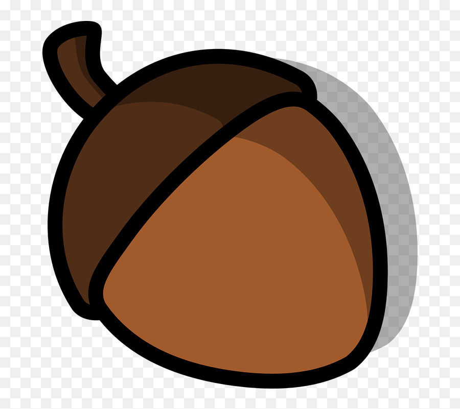 Acorn Nut - Free Vector Graphic On Pixabay Acorn Clip Art Png,Acorn Png