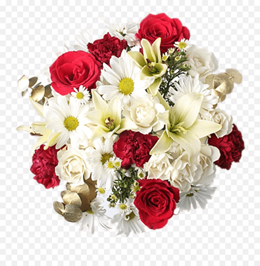 Christmas Florals Wholesale White Aster Red Roses With Greenery - Daisy Flower And Rose Png,Christmas Greenery Png