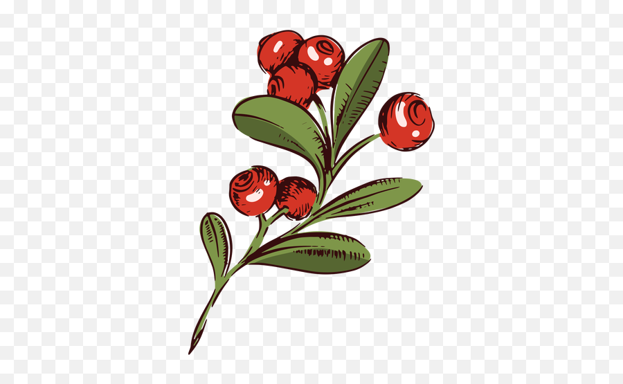 Transparent Png Svg Vector File - Fresh,Cranberries Png