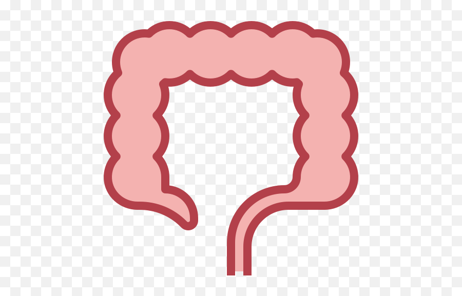 Large Intestine - Icone Intestino Grosso Png,Cute Lung Icon