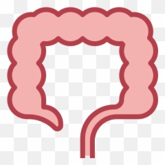 Large Intestine - Icone Intestino Grosso Png