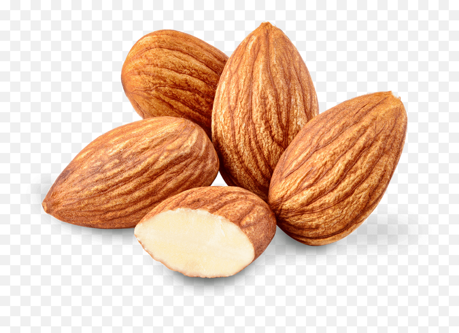 Almond Oil Nut Food - Almond Png Download 1000 Almond Png,Walnut Transparent