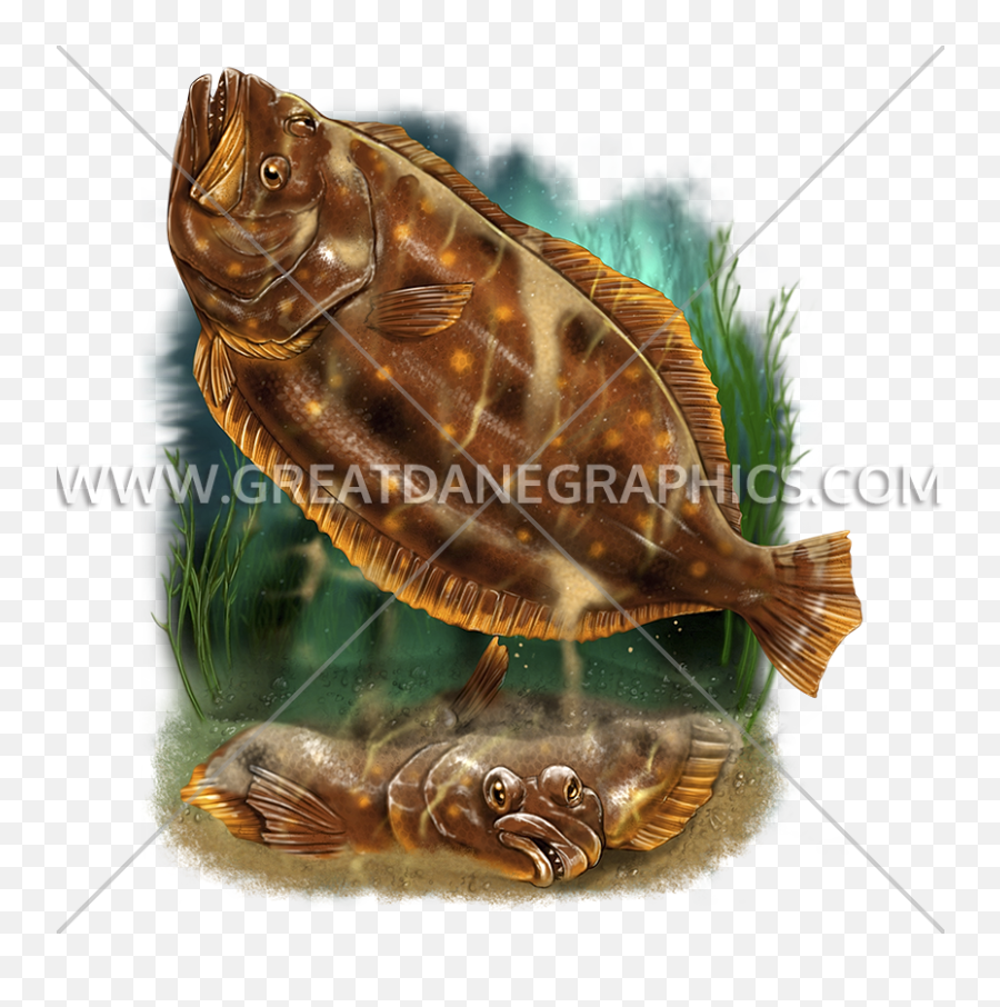 Flounder Production Ready Artwork For T - Shirt Printing Green Sea Turtle Png,Flounder Png