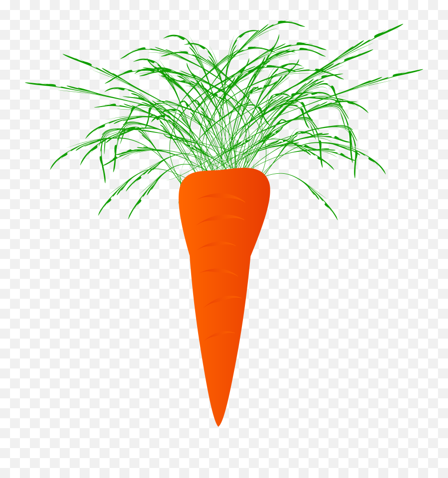 Marchewka Png Clipart - Carrot,Carrots Png