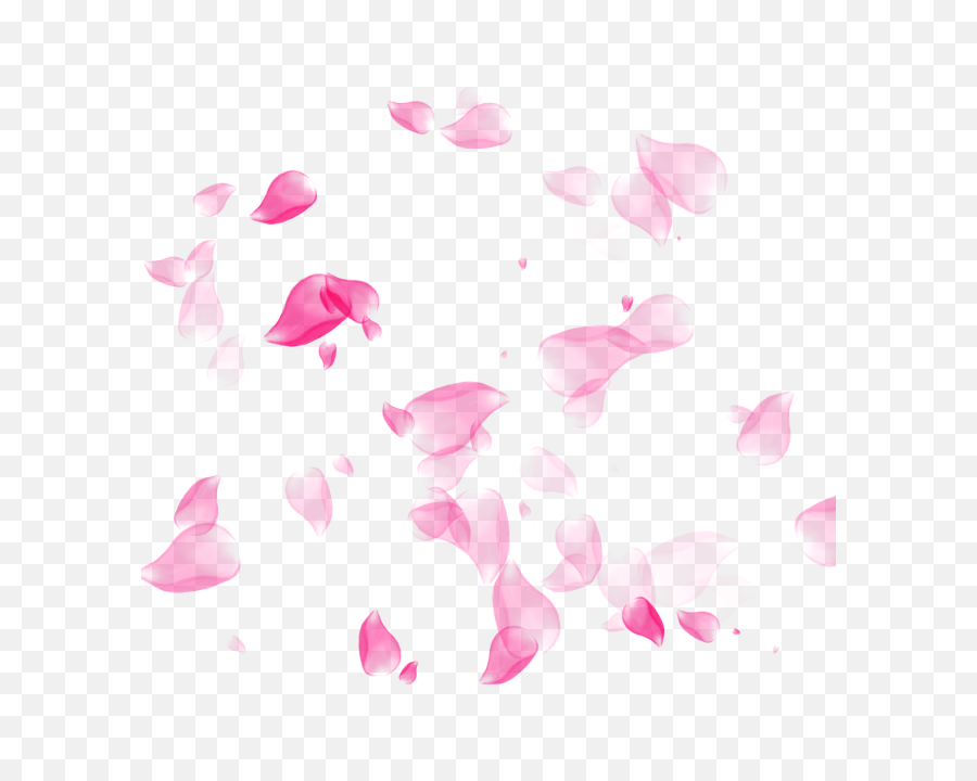 Flower Petals Png Images - Transparent Flower Petals Png,Rose Petals Transparent Background