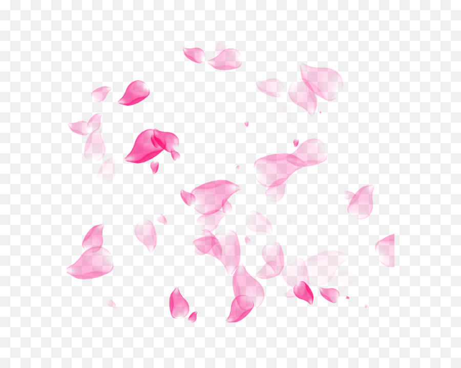 rose petals transparent