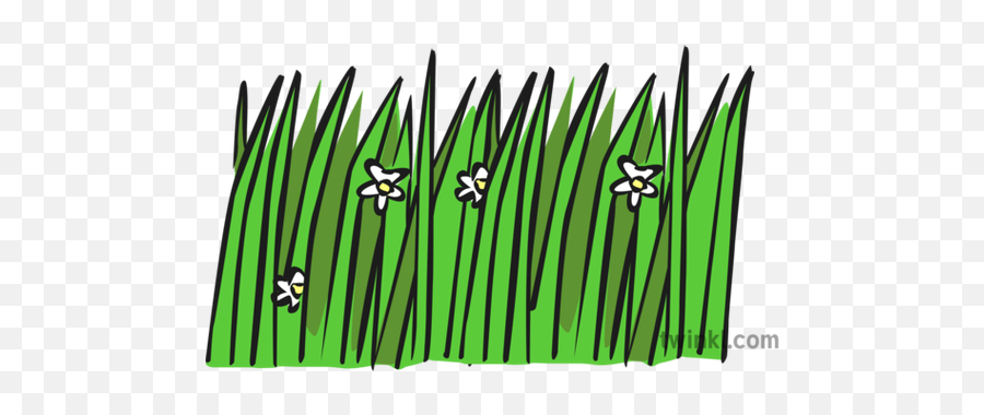 Long Wavy Grass Illustration - Long Wavy Grass Png,Long Grass Png