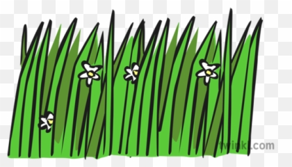 Long Wavy Grass Illustration - png