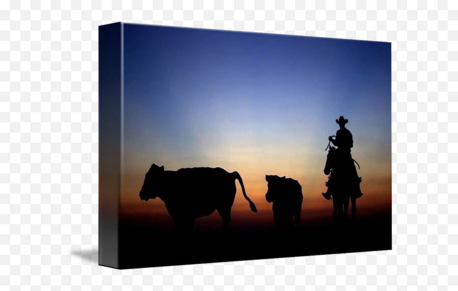 Sunset Cowboy By Tammy Mckinley - Ox Png,Cowboy Silhouette Png