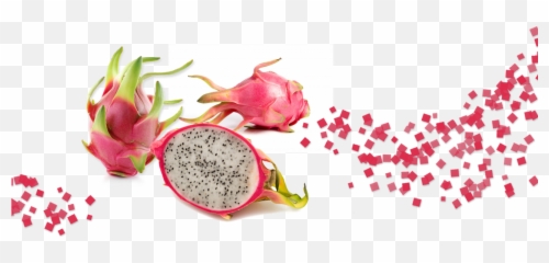Dragon Fruit - Dragon Fruit Background Png,Dragonfruit Png