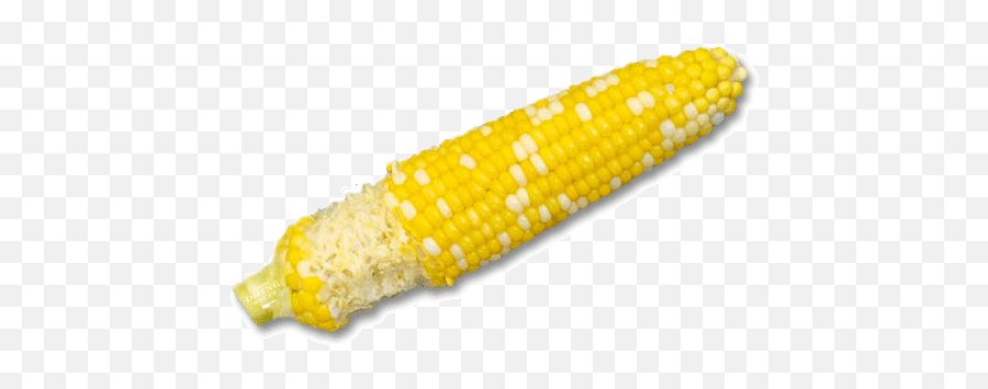 How You Eat Corn - Corn On The Cob Eaten Png,Corn Cob Png