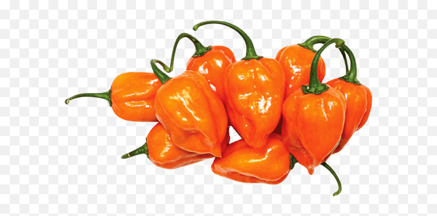 Habanero Png Transparent Habaneropng Images Pluspng - Habanero Png,Peppers Png