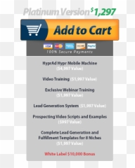Really Successful Presentsiprofitmobile - Jual Beli Online Png,Pokemon Platinum Logo
