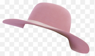 Wild Sb Bets About Lady Gaga Donald Trumphair Colorsongs - Joanne Hat Png