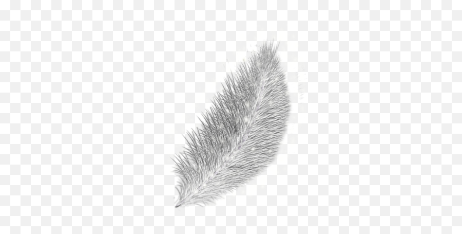 Silver Feather Opengameartorg - Sketch Png,Feather Png