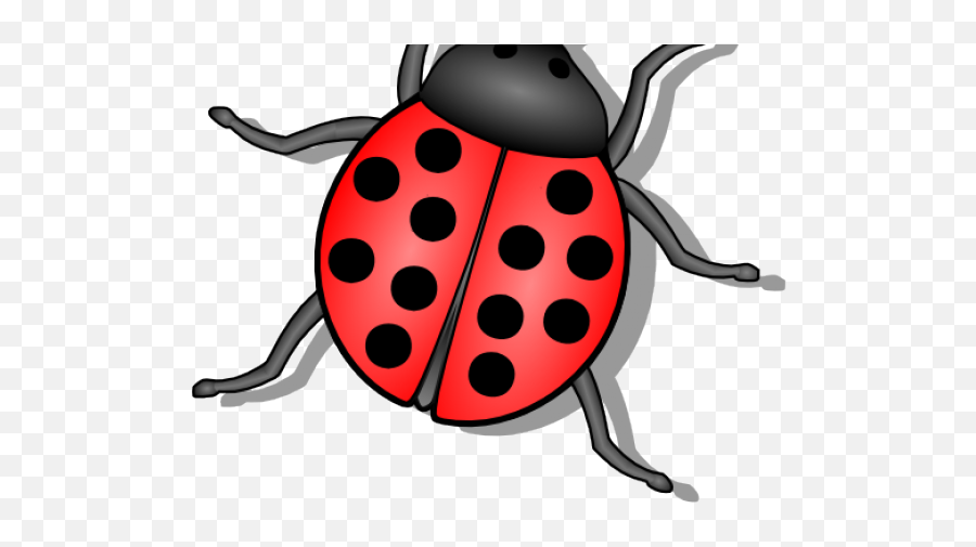 Download Flies Clipart Small Bug - Clipart Image Of Bug Png,Lady Bug Png
