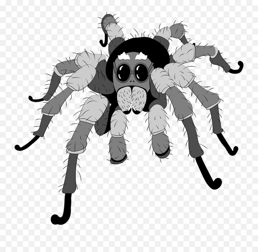 Tarantula - Animation Tarantula Png,Tarantula Png