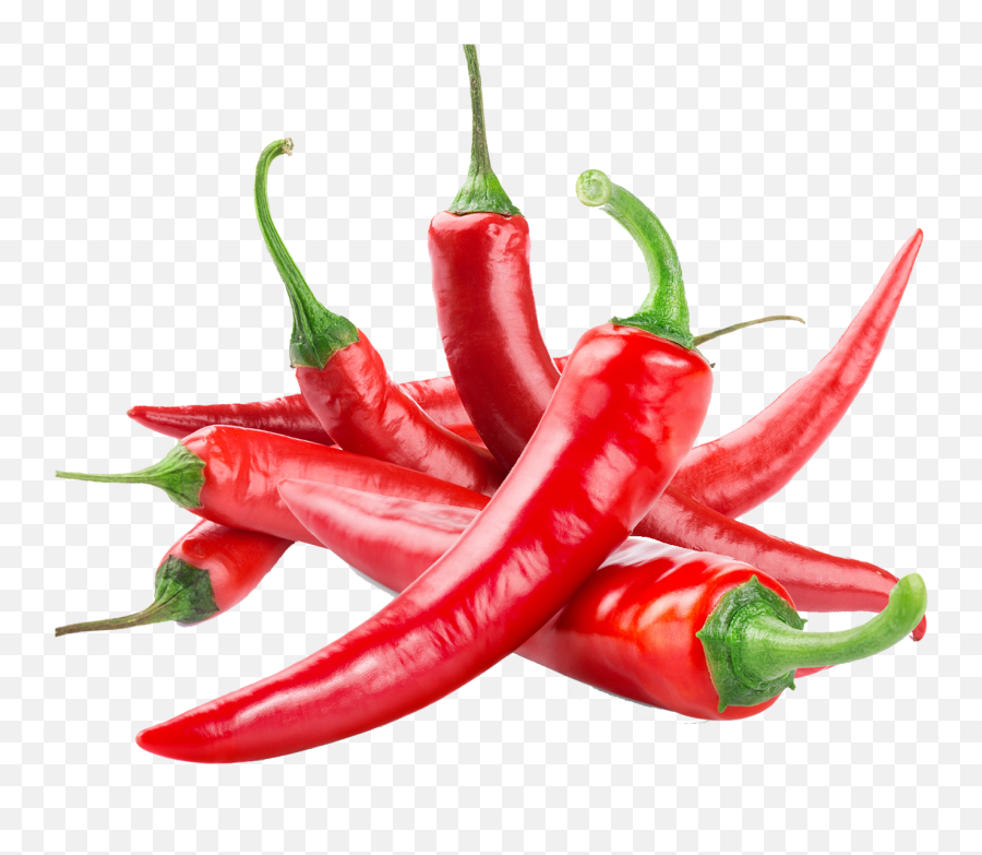 Chili Pepper Agroseeders - Transparent Hot Pepper Png,Hot Pepper Png