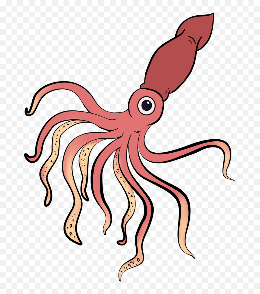 Squid Png - Easy Giant Squid Drawing,Squid Png