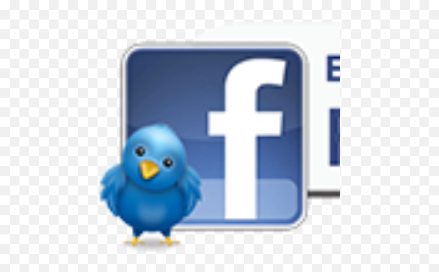 Cropped - Birdparadisefacebookbuttonpng Exotic Bird Become A Fan On Facebook,Facebook Button Png