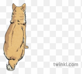 Dodge Back Shot Dog Animal Pet - Soft Png,Shiba Inu Transparent